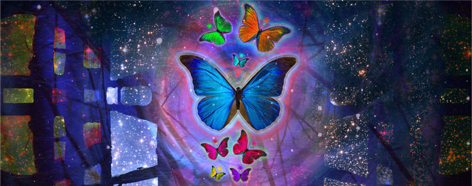 网站攻击工具手机版